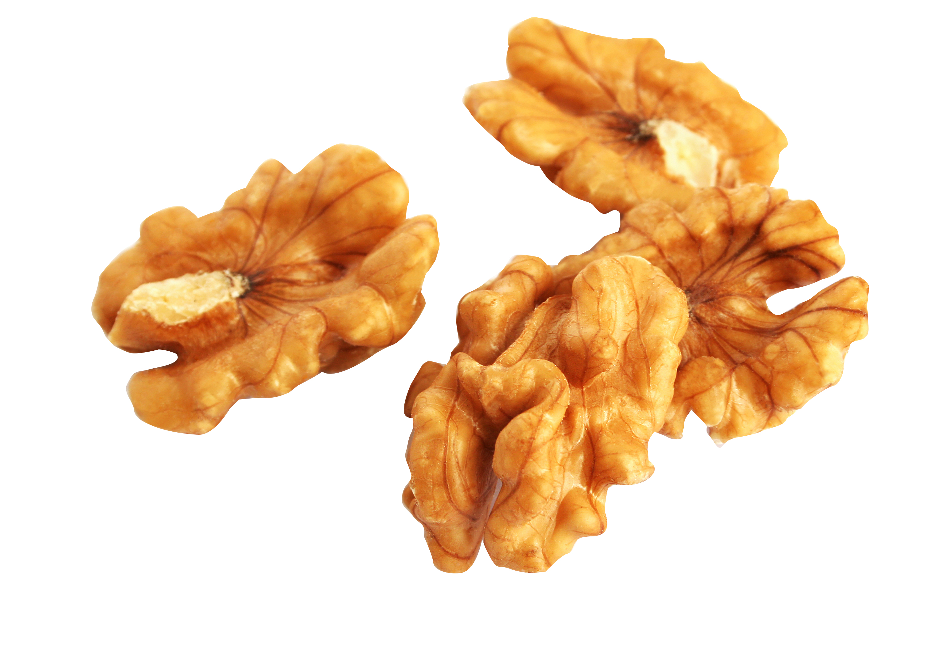 Walnuts are essential to any yummy trail mix 