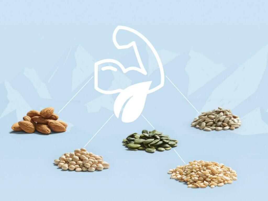Nüsse & Hülsenfrüchte versorgen den Körper mit Protein und helfen beim Muskelaufbau