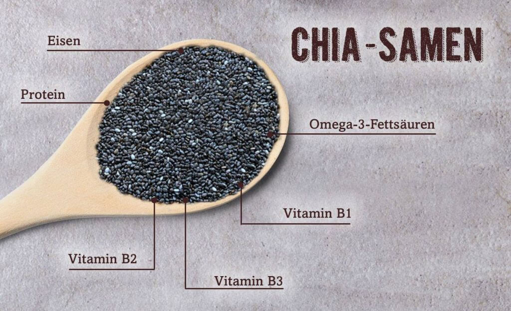 Chiasamen enthalten wichtige Makro- und Mikronährstoffe