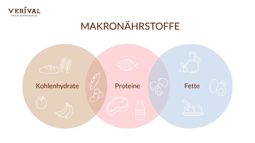 Welche Makronährstoffe gibt es? Kohlenhydrate, Fette, Proteine